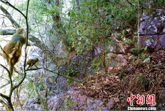 ͼΪ���Ͼ��Ⱥ���������㵽�Ļ�Ҷ�� ��ͼ ��