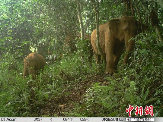 2011129պ㵽ӰͼӰͼ 