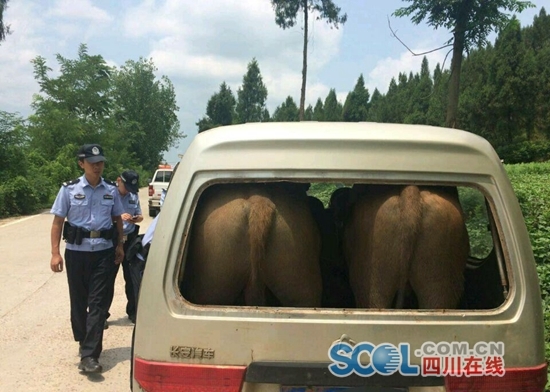 �Ĵ�������Ϣ(���� ���� Ԭ��)