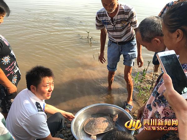 �Ĵ�һ�������Ұ���л��� ��10���سʻҰ�ɫ