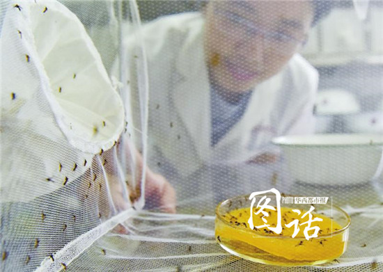 �Ĵ�4�����ӡ�ս�������Ա� �ɶ�Ұ���ӿ�ҩ����ǿ