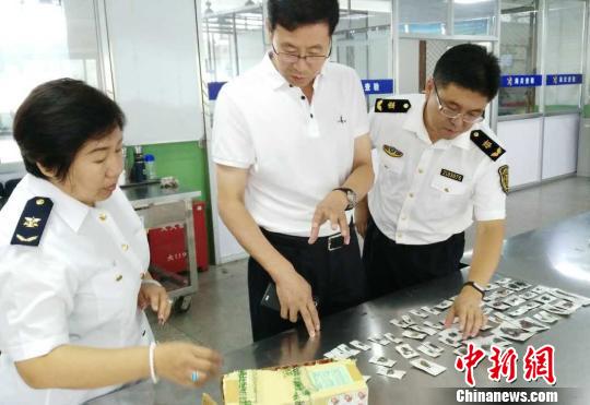 辽宁截获大量菲律宾入境昆虫标本 多为外来物种 辽宁截获大量菲律宾入境昆虫标本多为外来物种