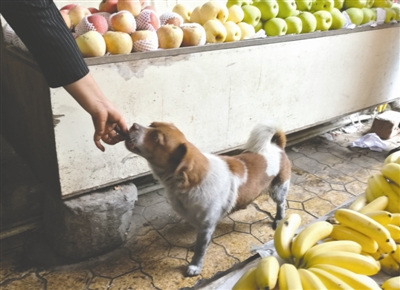 �����Ѿ���ȫ�ص�����