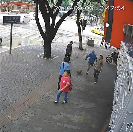 ��������8Ѯ��̫ �ֳ����Ⱦ��������ϰ���