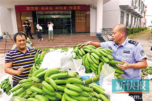 ���������սɵ��㽶��������ũ�� �¿챨��������/��