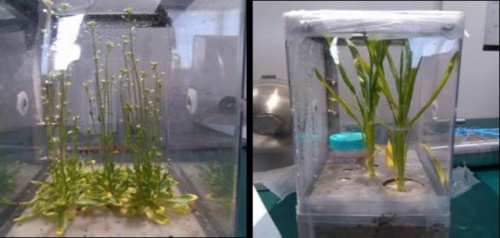 ͼΪ̫��������(ͼƬ��Դ���й���ѧԺ)