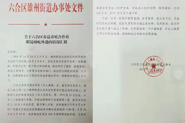 С�ģ��Ͼ�������300���۾������ӣ����о綾
