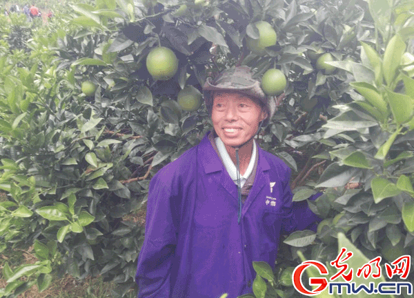 ������ý����ת�ġ�������������ɫ�����ϵ���ɫ��չ