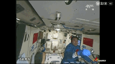 太空养蚕视频曝光!蚕宝宝开启太空之旅 神舟十一号太空养蚕视频:蚕在景海鹏指尖玩游戏