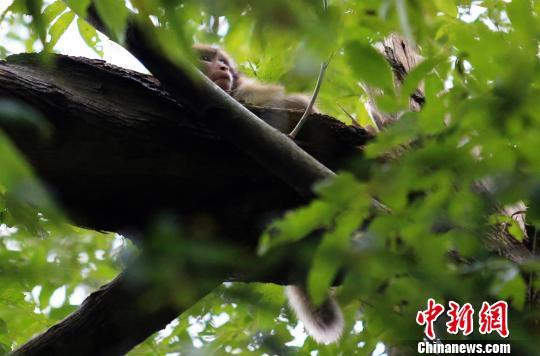 Ұ��⨺�Ⱥ���Ӵ�ׯ ��������ׯ��ι�ͼ��