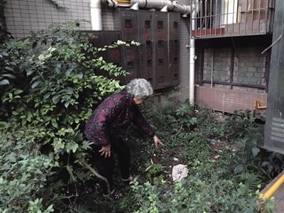 重庆小区高空抛物事件屡发生 含避孕套卫生巾