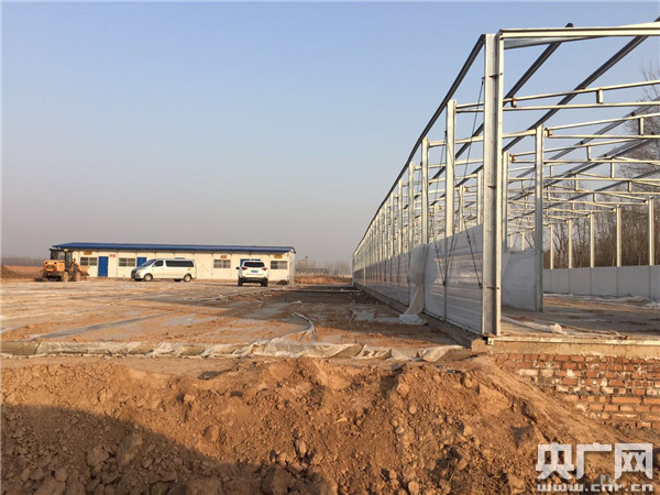 衡水中学邯郸分校被指